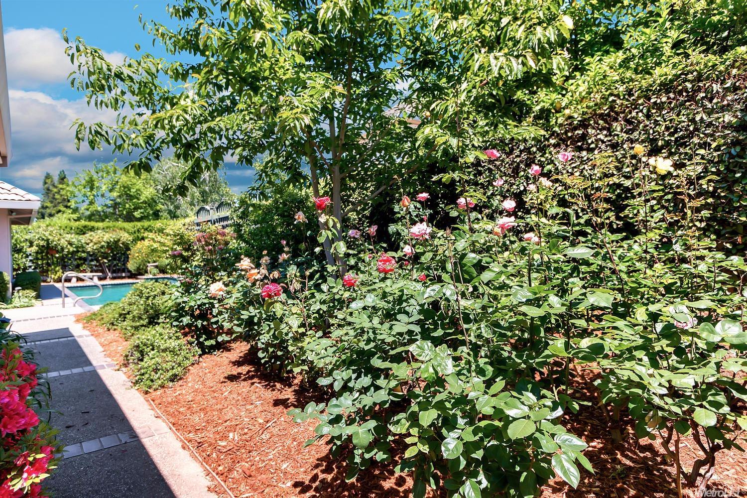 101 Cobb Ct, Folsom, CA 95630 photo 24