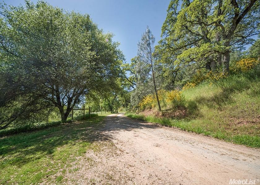 1980 Beaver Creek Rd, Cool, CA 95614 photo 24