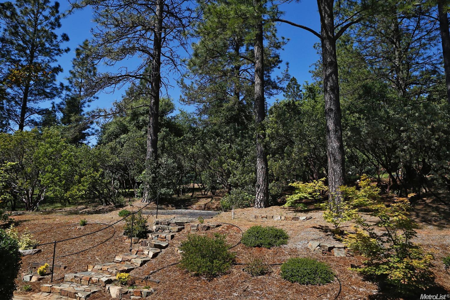 3271 Wasatch, Placerville, CA 95667 photo 23