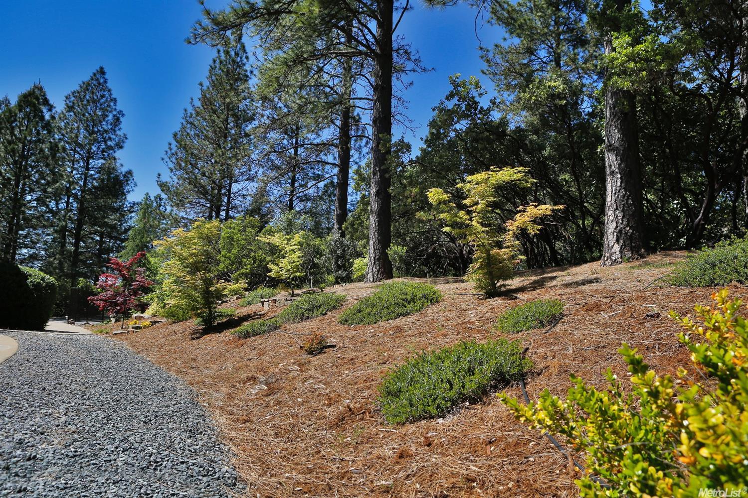 3271 Wasatch, Placerville, CA 95667 photo 24