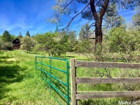 14938 Armstrong Rd, Sheep Ranch, CA 95246 photo 7