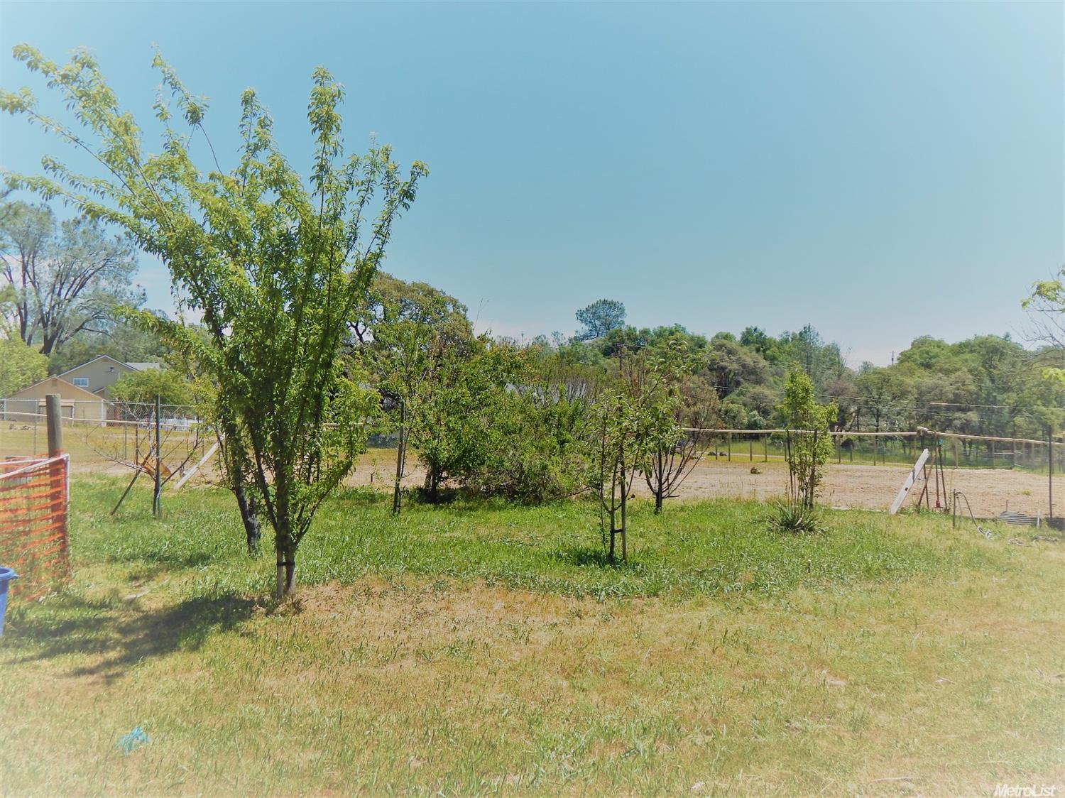 1097 Aaron Cool Dr, Cool, CA 95614 photo 22