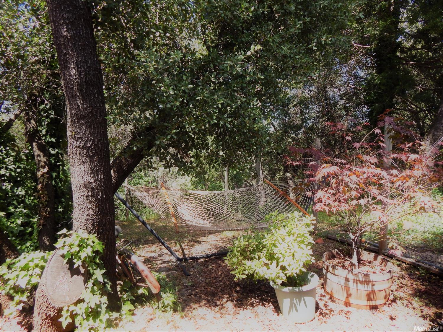 1097 Aaron Cool Dr, Cool, CA 95614 photo 19