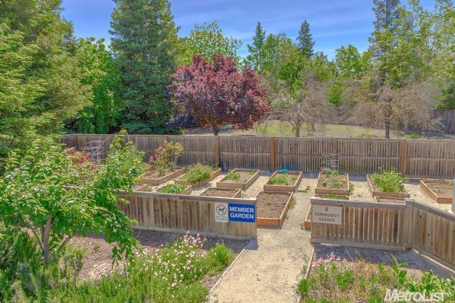 1818 Moore Blvd #214, Davis, CA 95618 photo 22