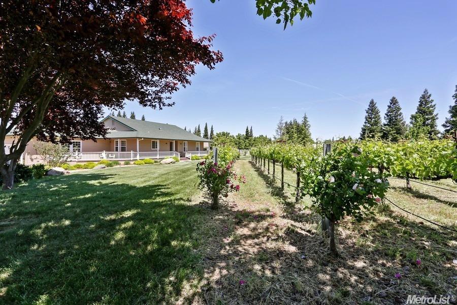 8778 Dillard Rd, Wilton, CA 95693 photo 2