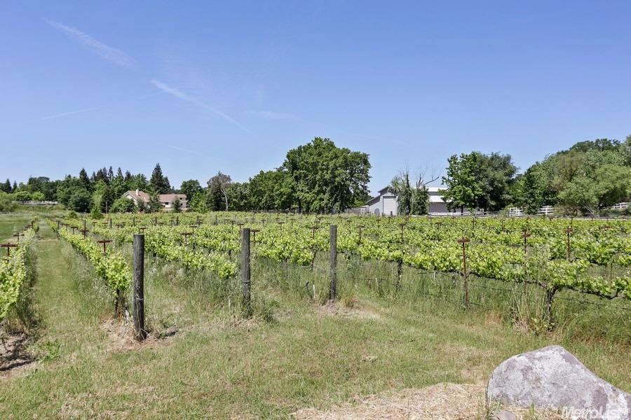 8778 Dillard Rd, Wilton, CA 95693 photo 17