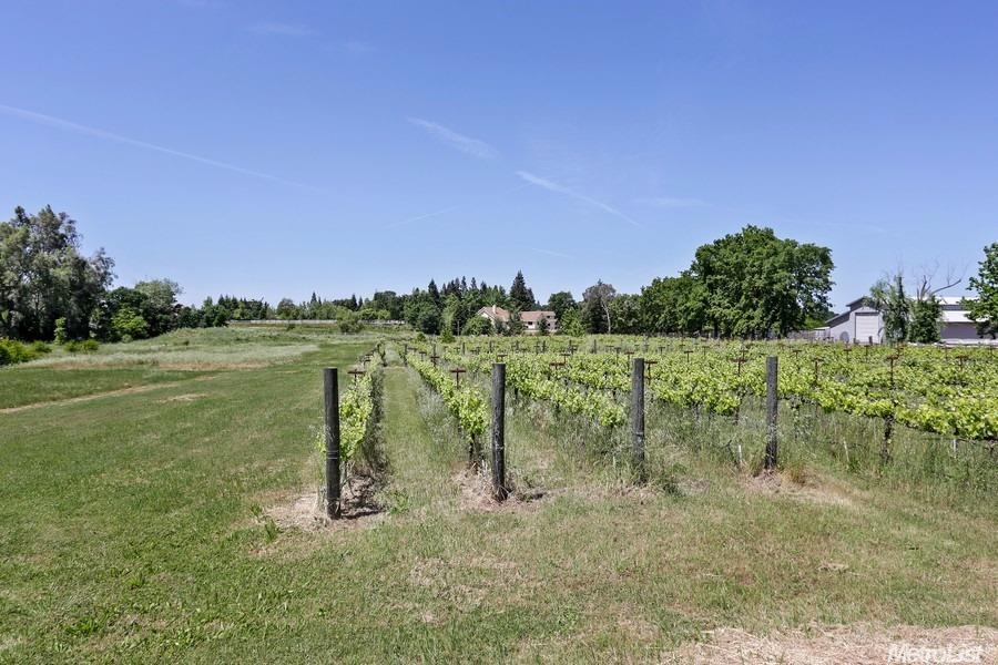 8778 Dillard Rd, Wilton, CA 95693 photo 18