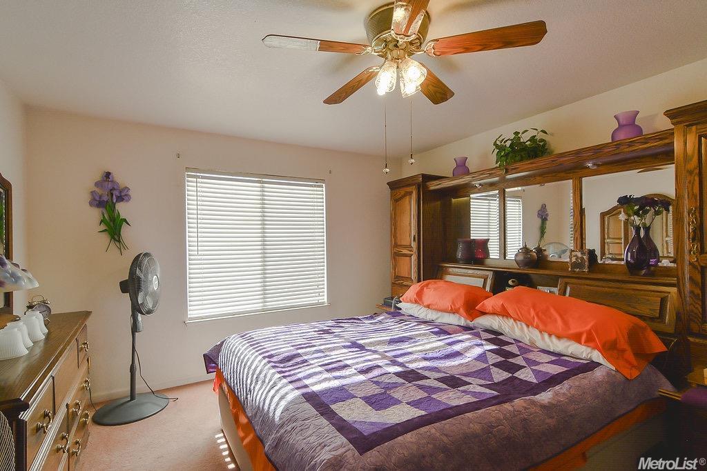 16177 Tumbleweed Ln, Lathrop, CA 95330 photo 14