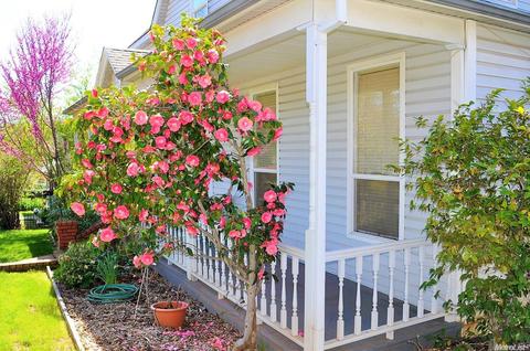 610 Myrtle Ave, Placerville, CA 95667 photo 28