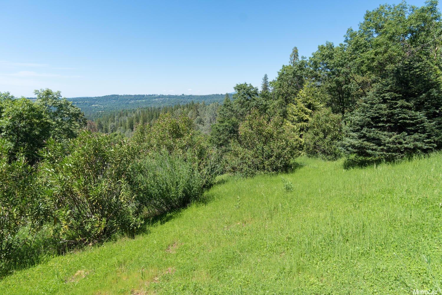 3085 E Ridgewood Dr, Placerville, CA 95667 photo 23
