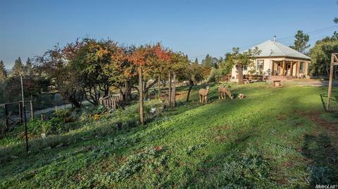 2631 Bryan Way, Placerville, CA 95667 photo 4