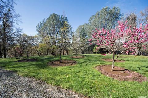 5440 Rainbow Ridge Rd, Placerville, CA 95667 photo 31