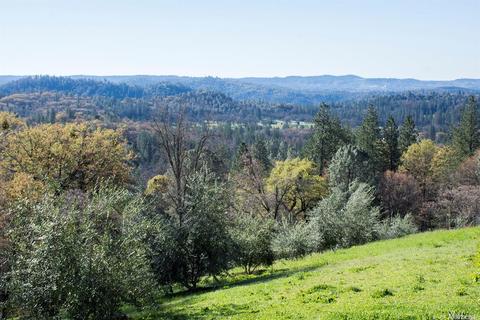 5440 Rainbow Ridge Rd, Placerville, CA 95667 photo 32