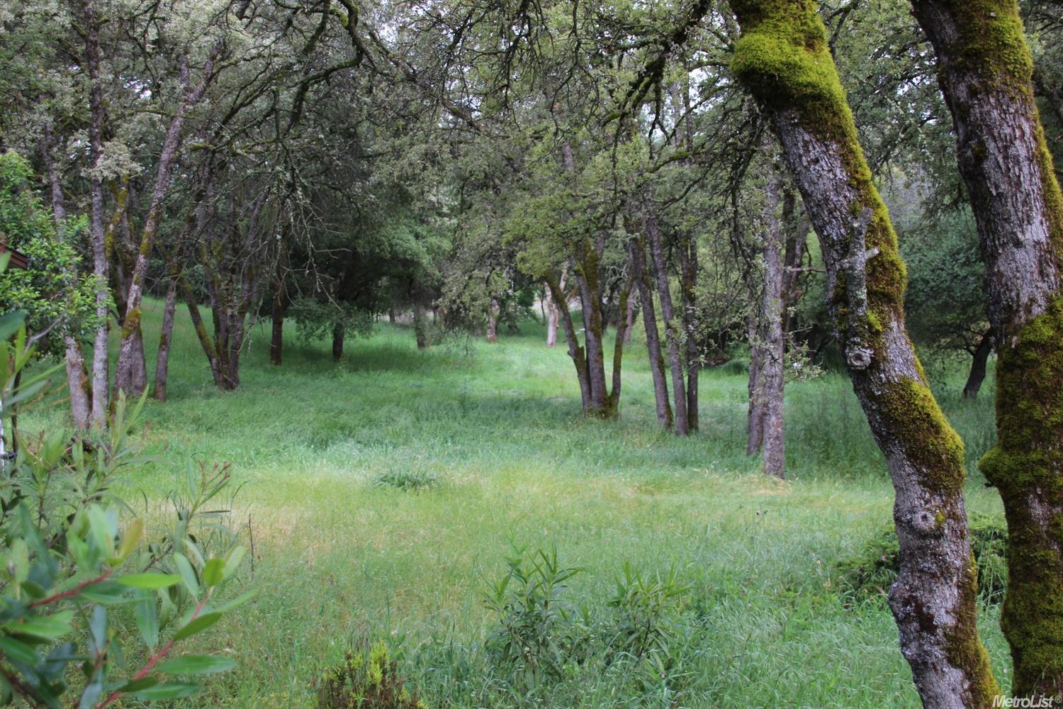 1281 Aaron Cool Dr, Cool, CA 95614 photo 32