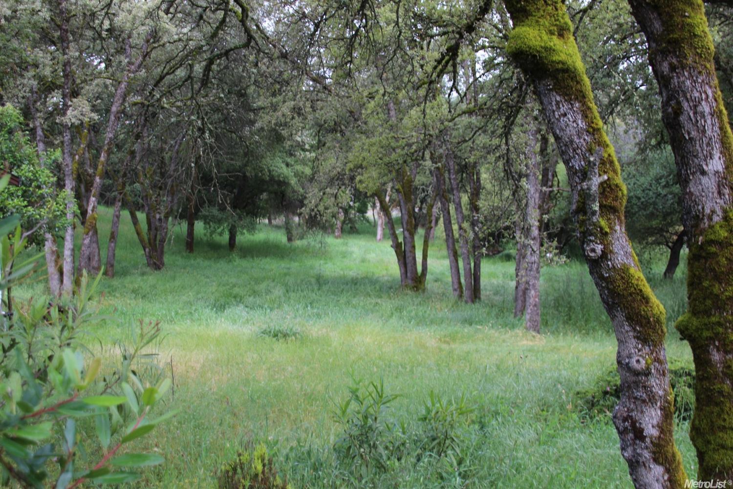 1281 Aaron Cool Dr, Cool, CA 95614 photo 2