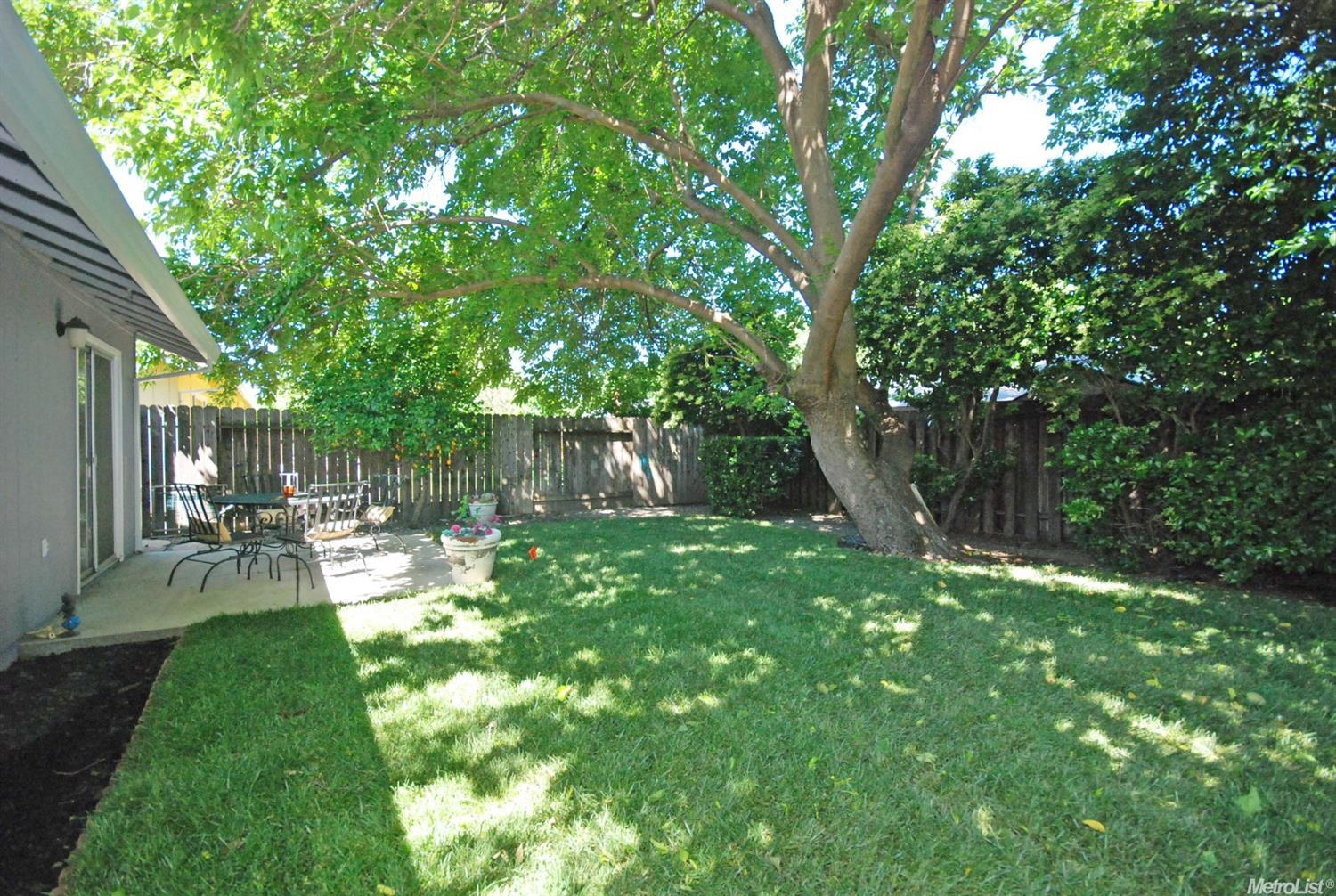 1169 Auburn Dr, Davis, CA 95616 photo 24