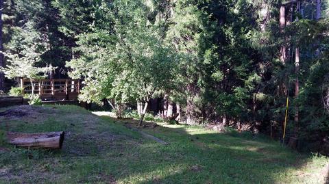 183 Alpine Cir, Colfax, CA 95713 photo 32