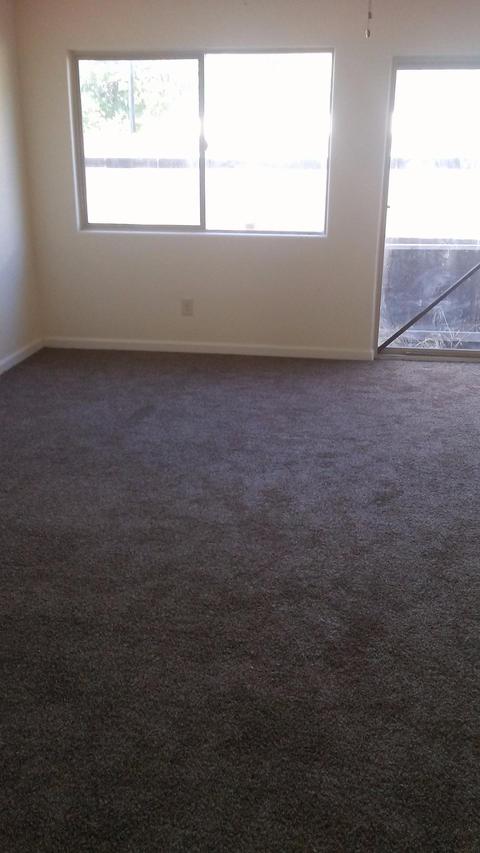 1036 Florence Ave, Modesto, CA 95351 photo 19