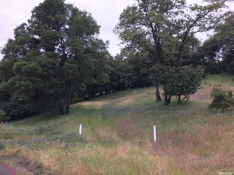 1684 Covey Dr, Placerville, CA 95667 photo 1