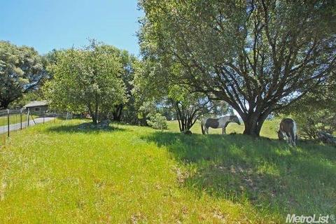 5101 Oak Leaf Cir, Placerville, CA 95667 photo 31