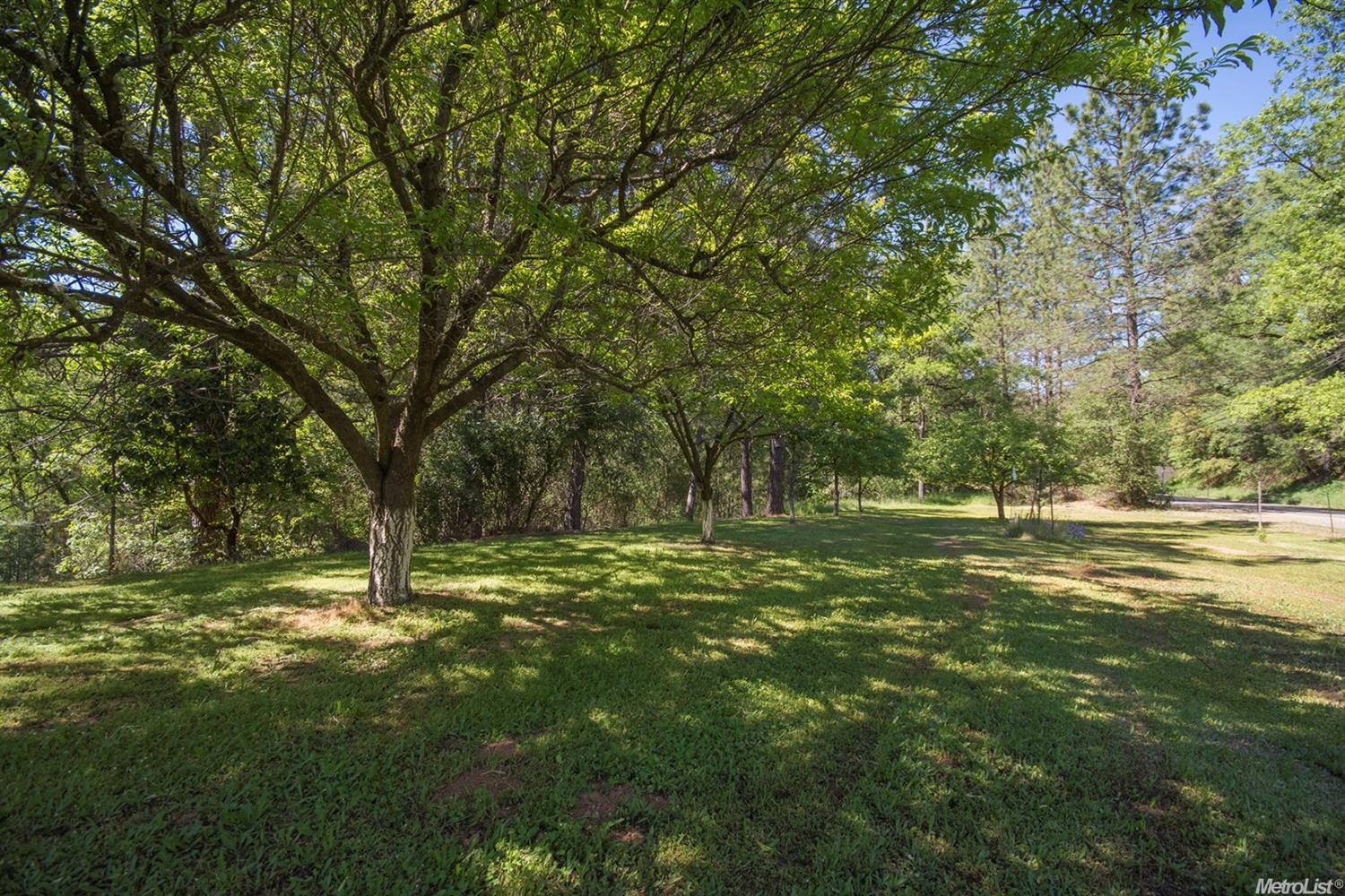 3368 Old Ditch Dr, Placerville, CA 95667 photo 35