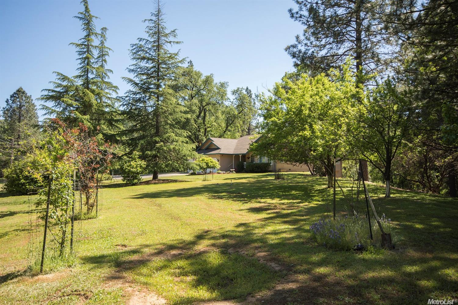 3368 Old Ditch Dr, Placerville, CA 95667 photo 8
