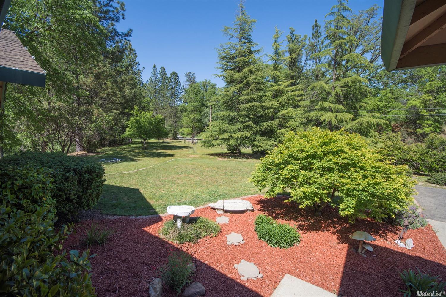 3368 Old Ditch Dr, Placerville, CA 95667 photo 7
