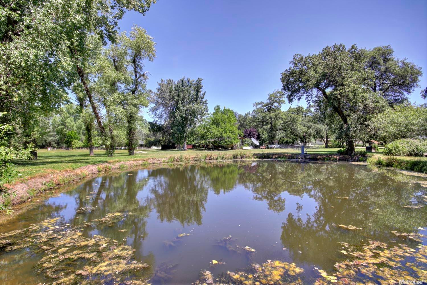 3880 Val Verde Rd, Loomis, CA 95650 photo 4