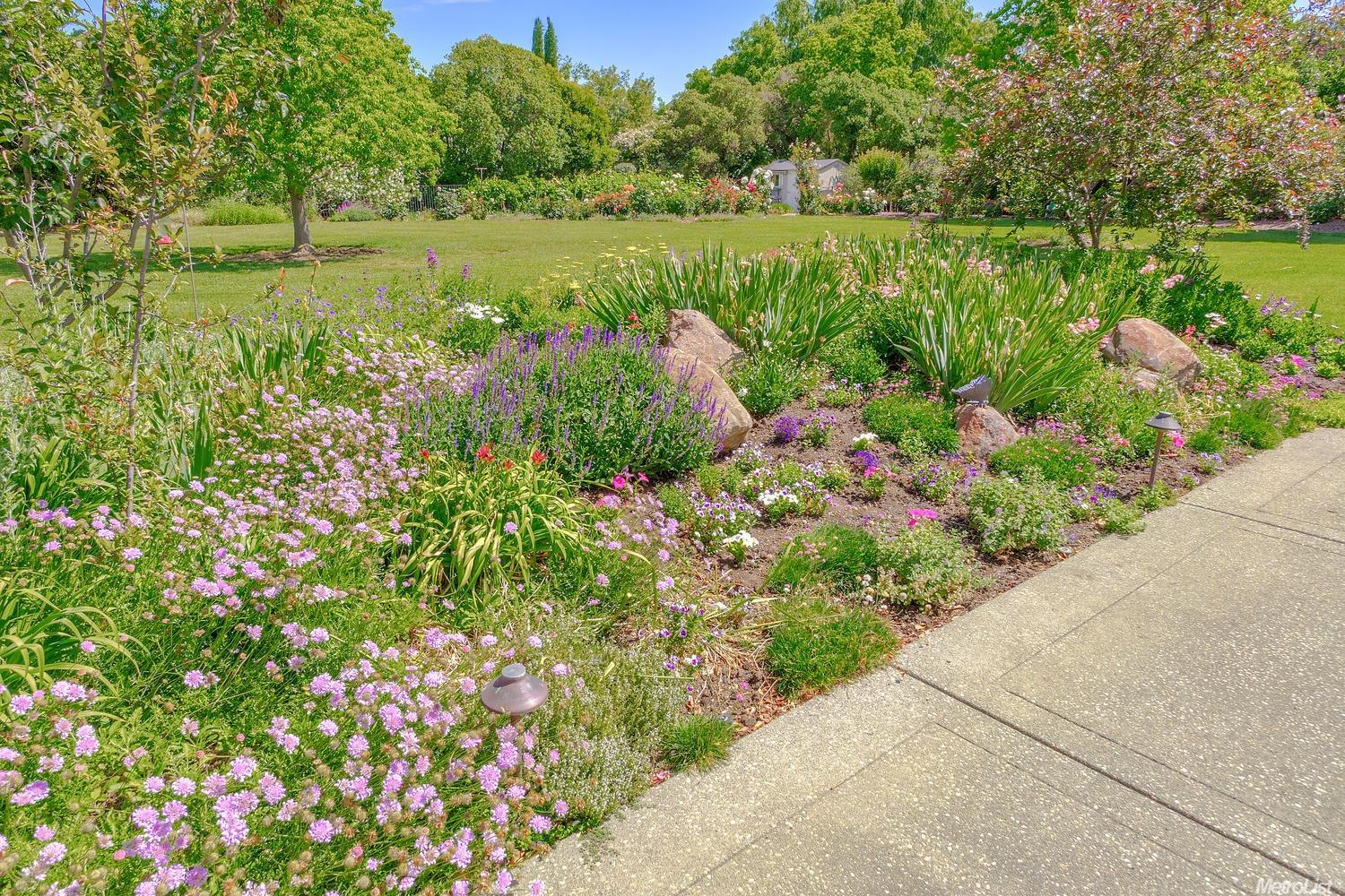 39652 Larkspur Pl, Davis, CA 95616 photo 8