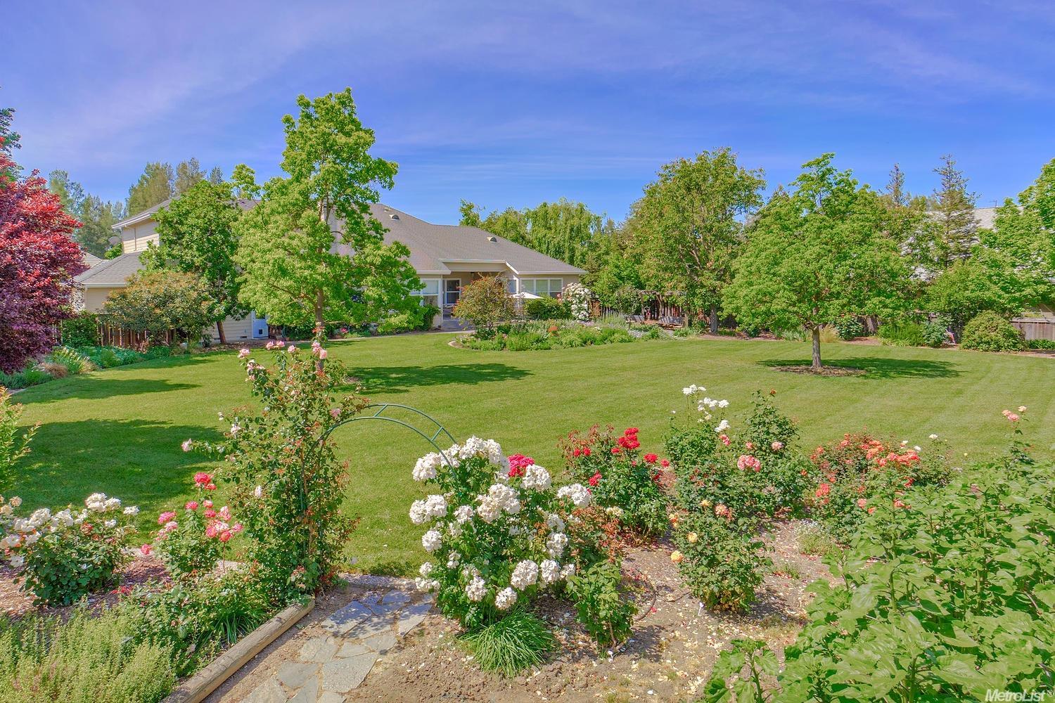 39652 Larkspur Pl, Davis, CA 95616 photo 9