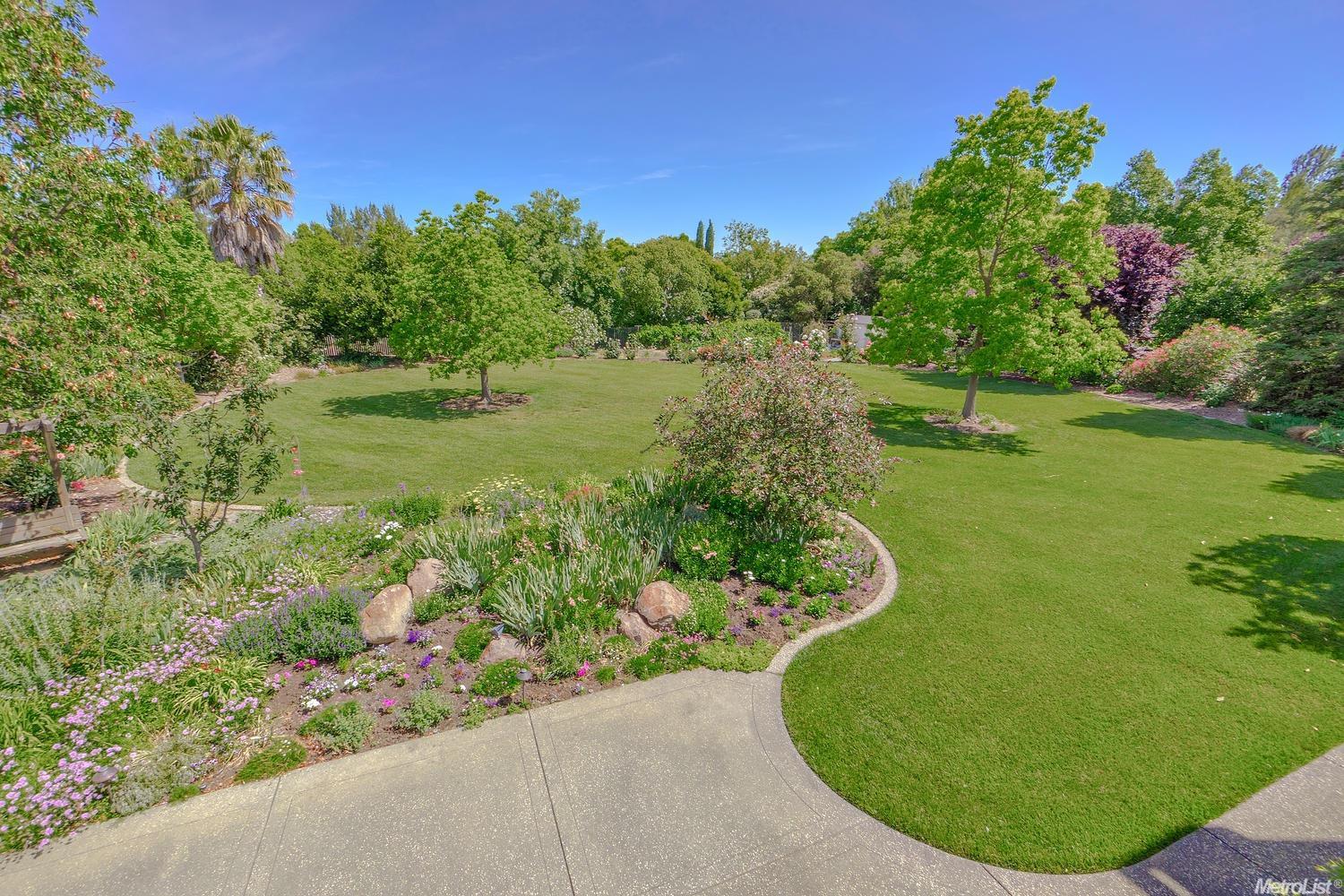 39652 Larkspur Pl, Davis, CA 95616 photo 7