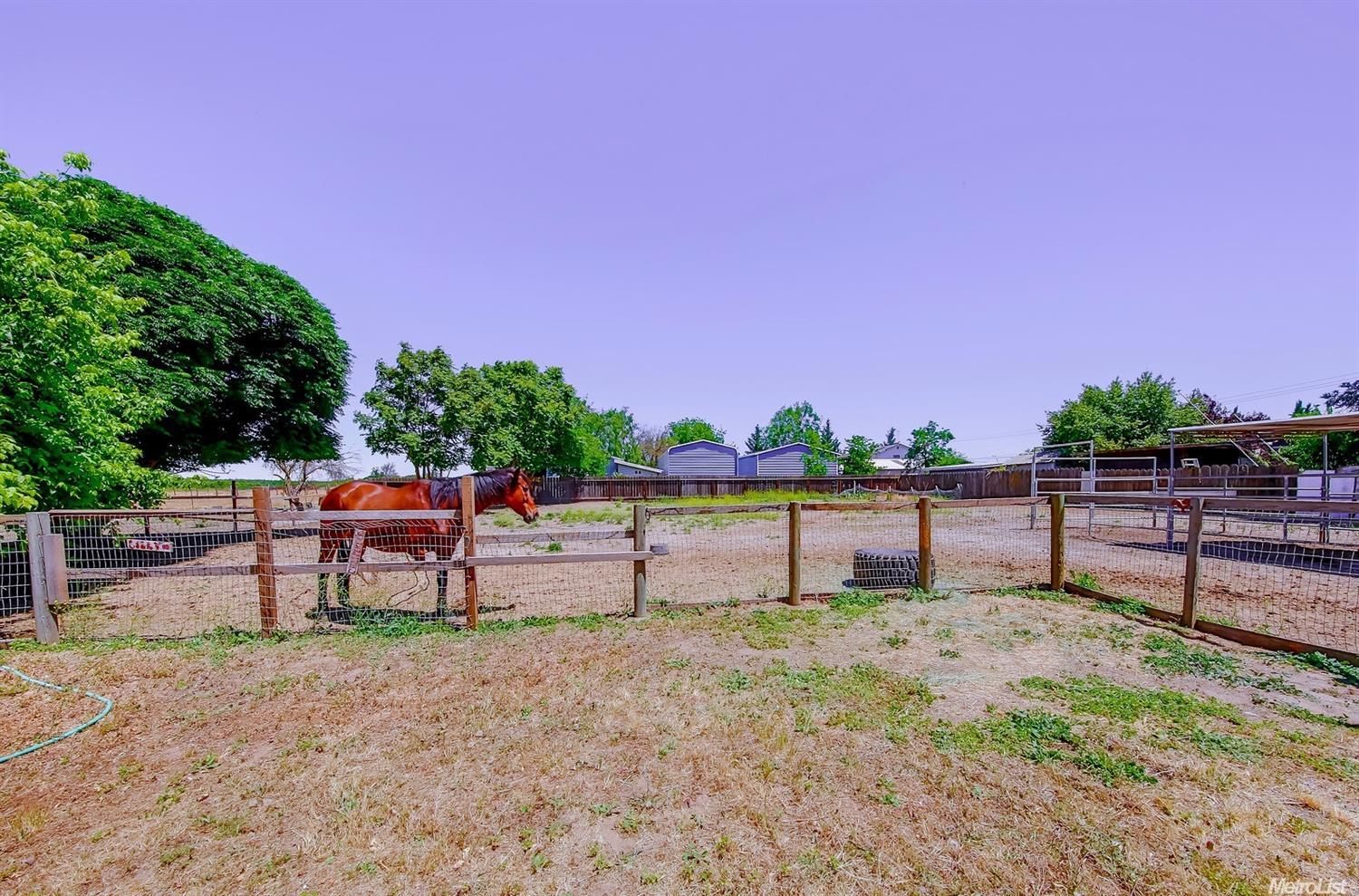 21992 Henry Rd, Escalon, CA 95320 photo 18