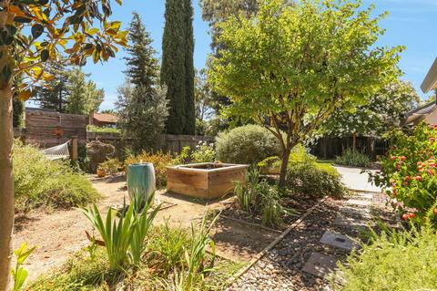800 Falcon Ave, Davis, CA 95616 photo 26