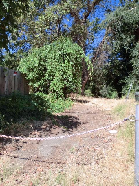 2413 Garfield Ave, Carmichael, CA 95608 photo 2
