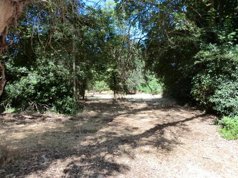 2413 Garfield Ave, Carmichael, CA 95608 photo 5