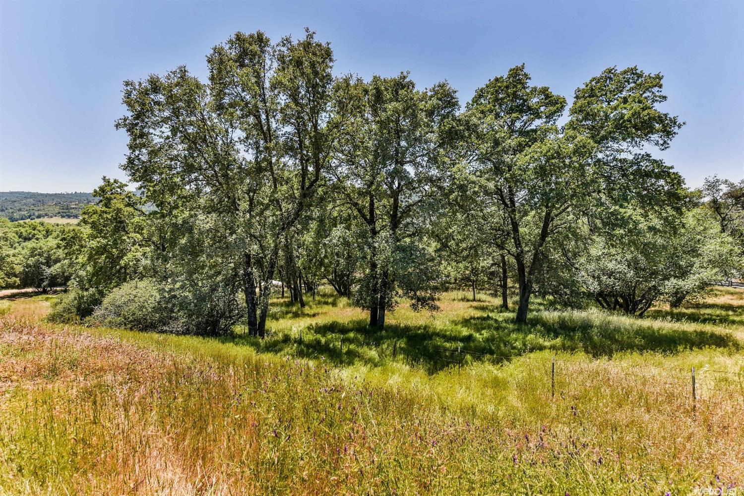 3600 Luneman Rd, Placerville, CA 95667 photo 32