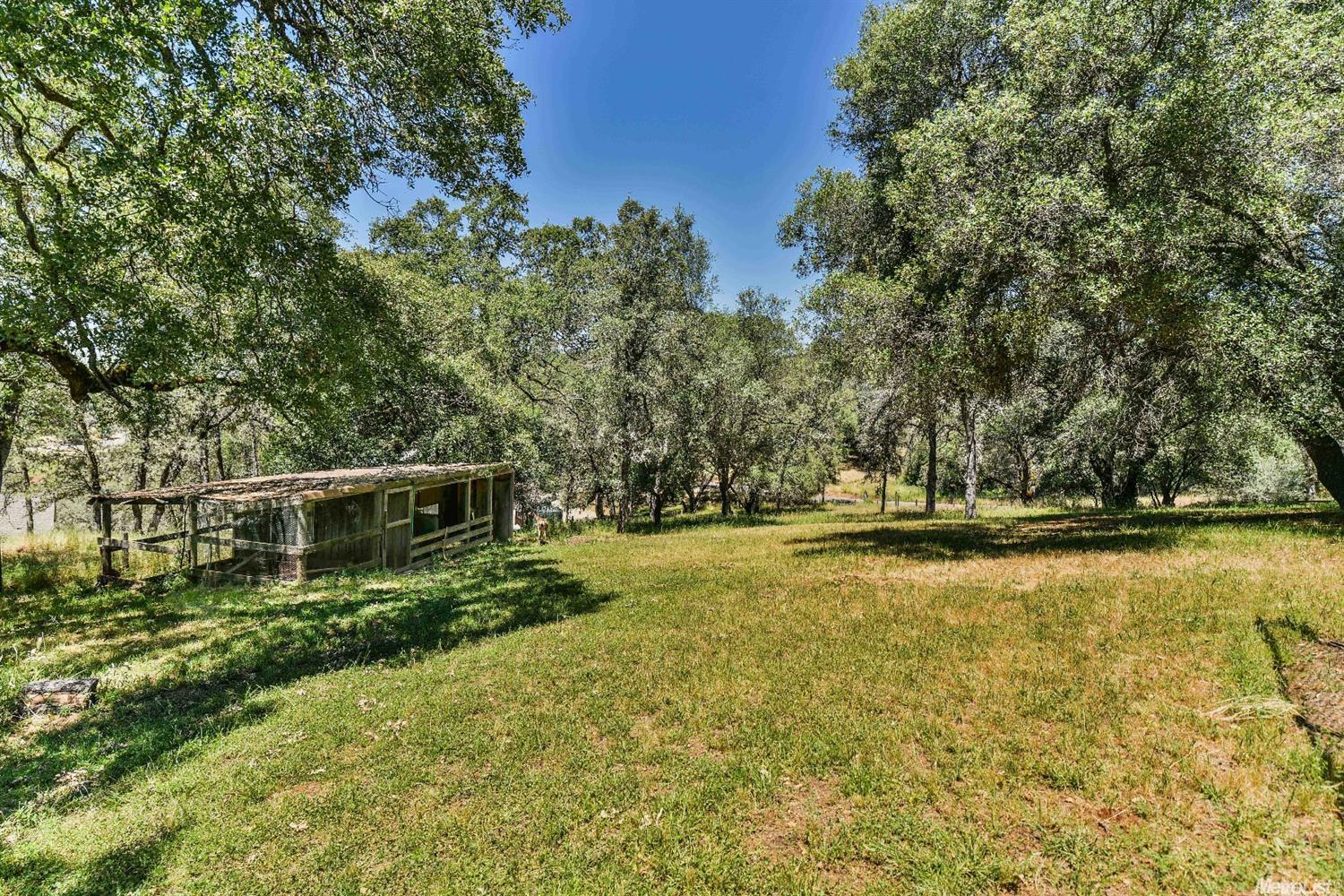 3600 Luneman Rd, Placerville, CA 95667 photo 28