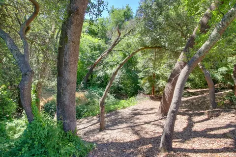 6527 Grant Ave, Carmichael, CA 95608 photo 32