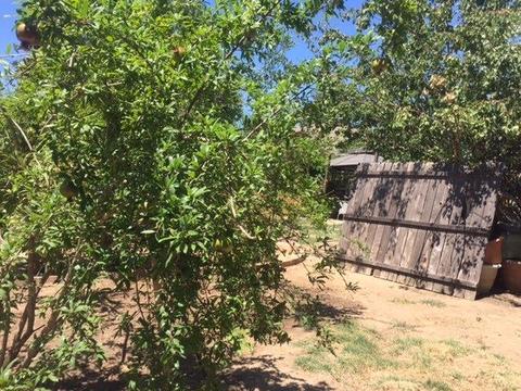 8739 Central Ave, Orangevale, CA 95662 photo 7