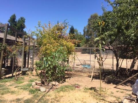 8739 Central Ave, Orangevale, CA 95662 photo 8