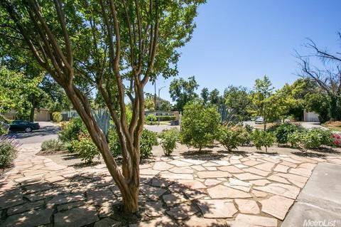 902 Gregory Pl, Davis, CA 95616 photo 20