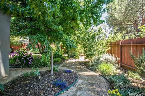 902 Gregory Pl, Davis, CA 95616 photo 5