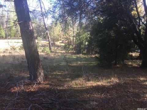 5000 Breezy Way, Placerville, CA 95667 photo 3