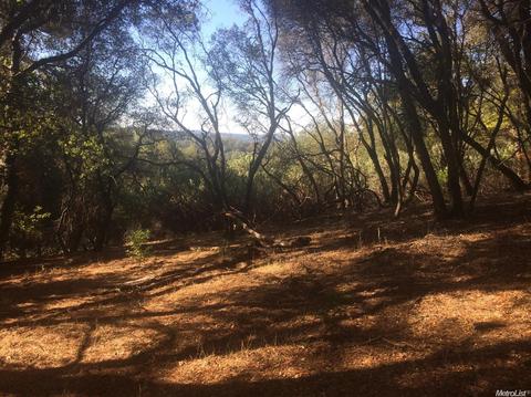 5000 Breezy Way, Placerville, CA 95667 photo 4