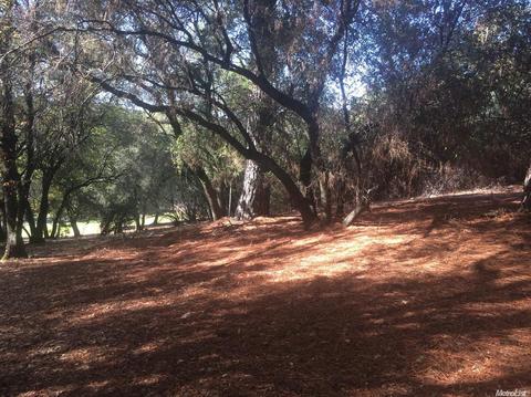5000 Breezy Way, Placerville, CA 95667 photo 1