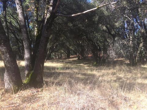5000 Breezy Way, Placerville, CA 95667 photo 2