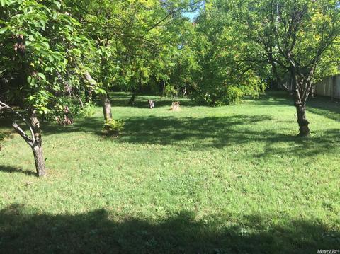 1409 W 8th St, Davis, CA 95616 photo 2