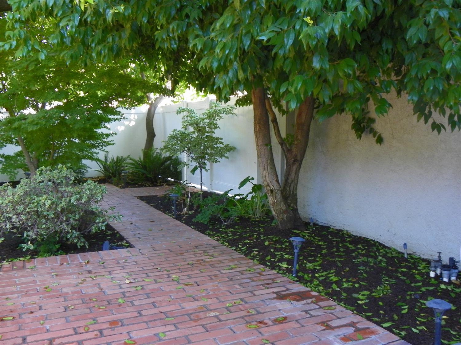 411 N Olive Ave, Modesto, CA 95350 photo 32