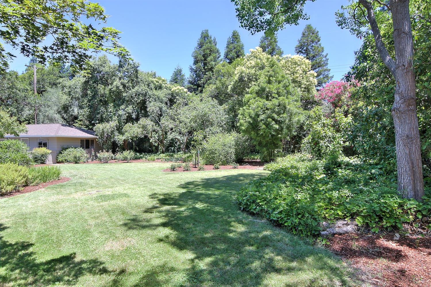 1666 Del Dayo Dr, Carmichael, CA 95608 photo 30