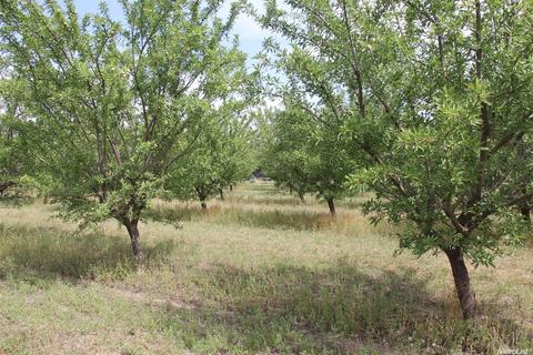 4961 S Central Ave, Ceres, CA 95307 photo 4